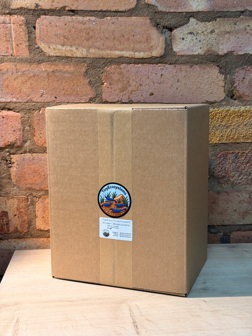 TinyEcosystem Beginner Box