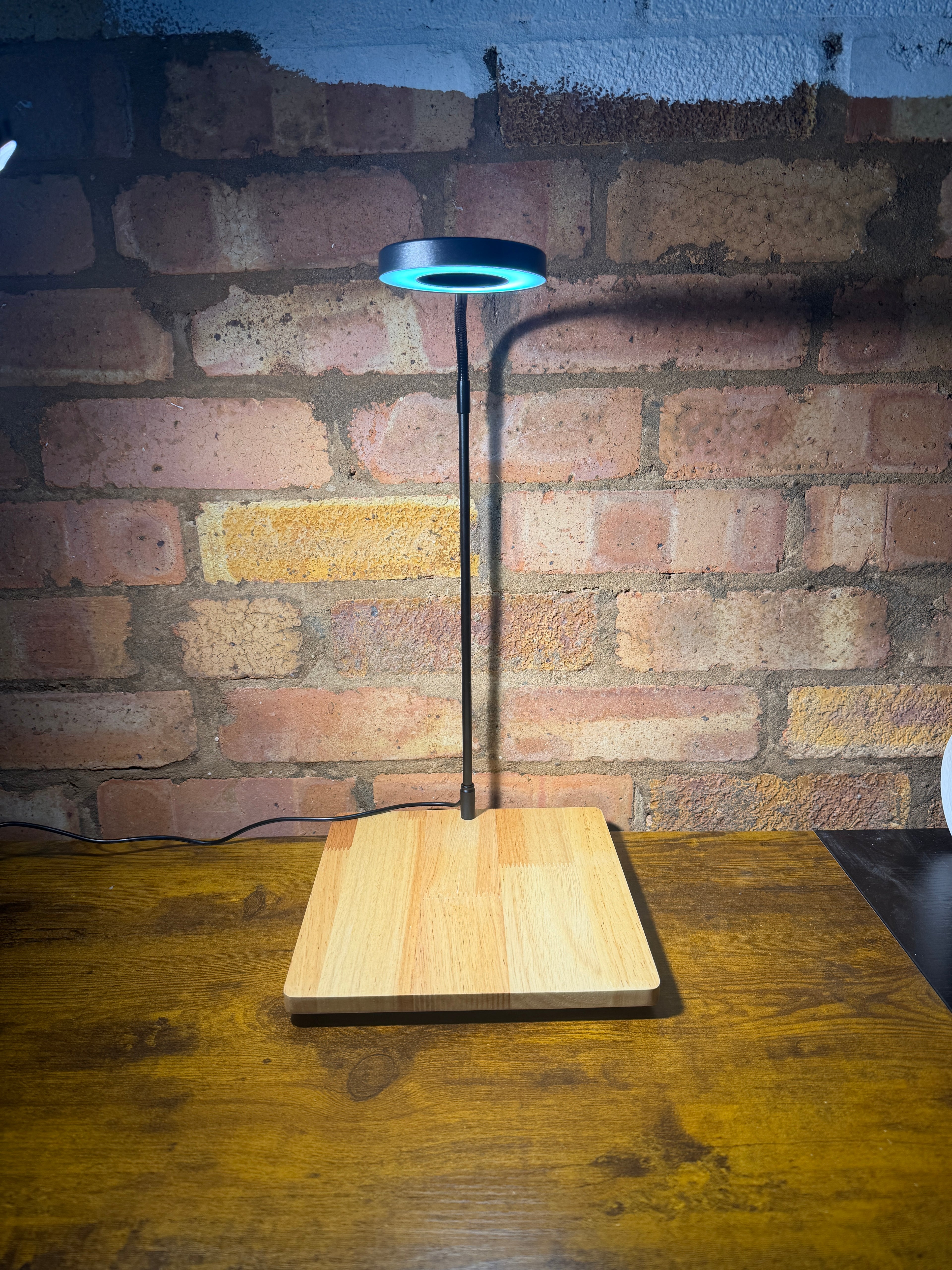 TinyEcosystem Lamp