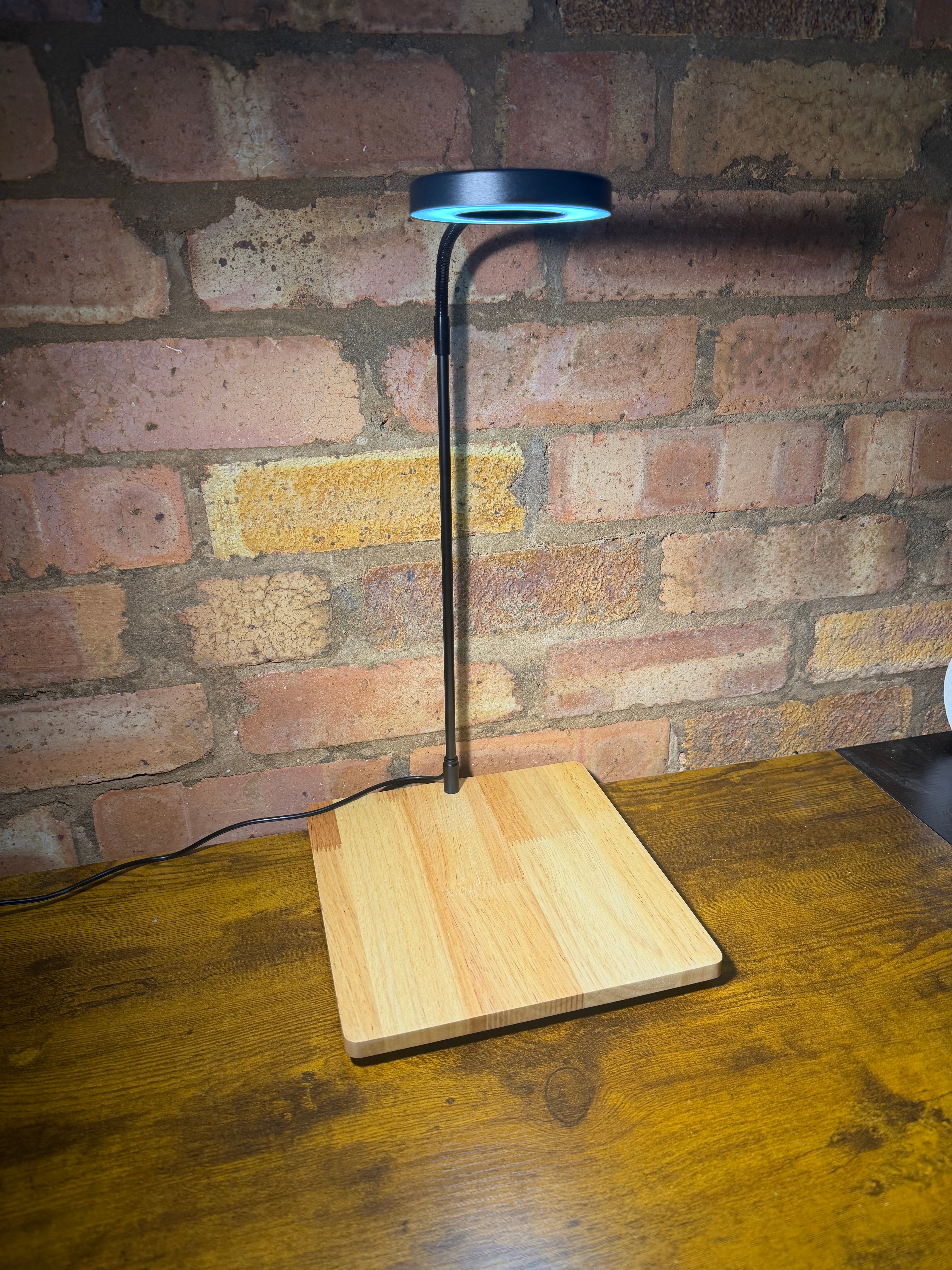 TinyEcosystem Lamp