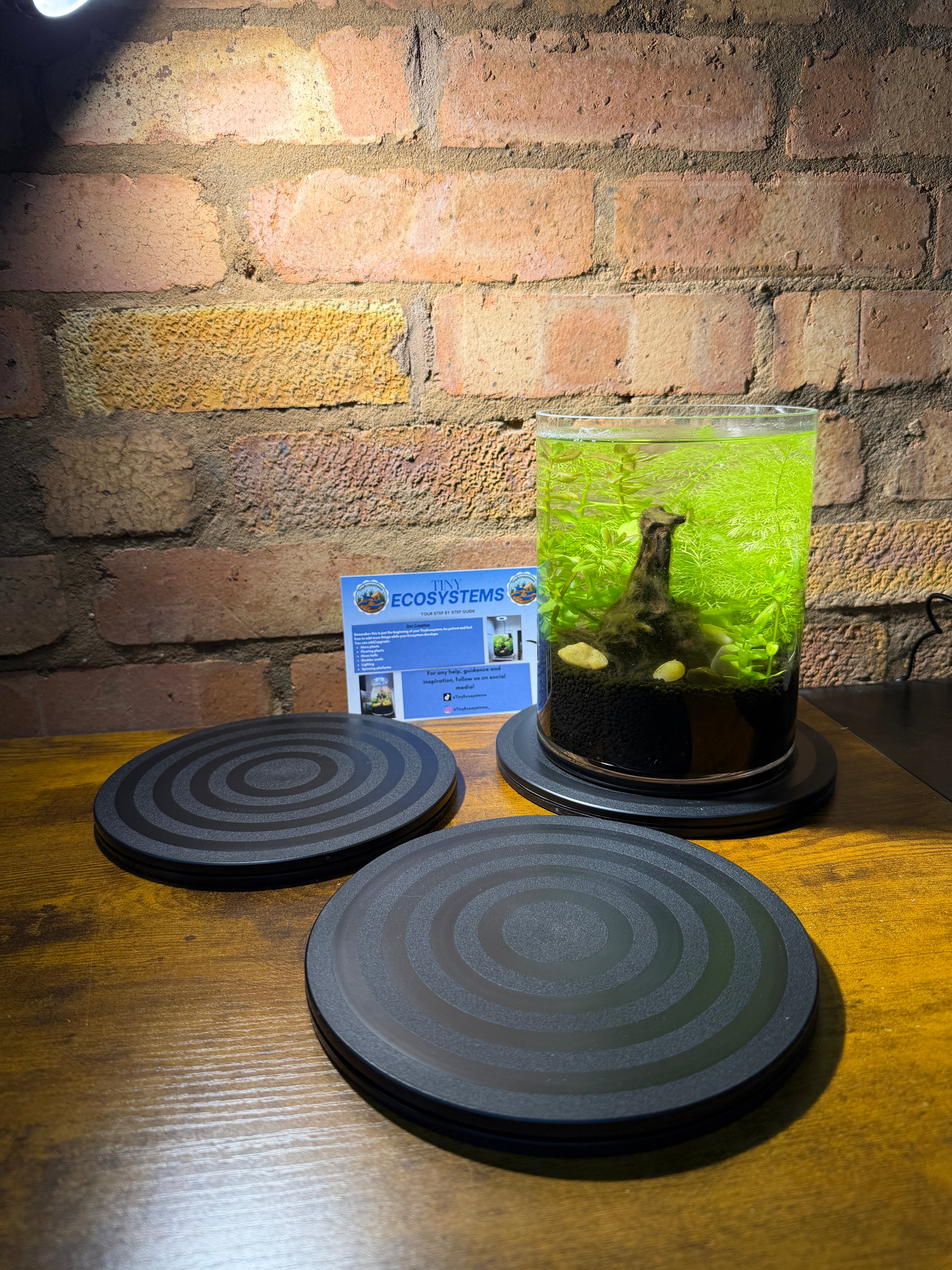 TinyEcosystems 360 Degree Spinning Base